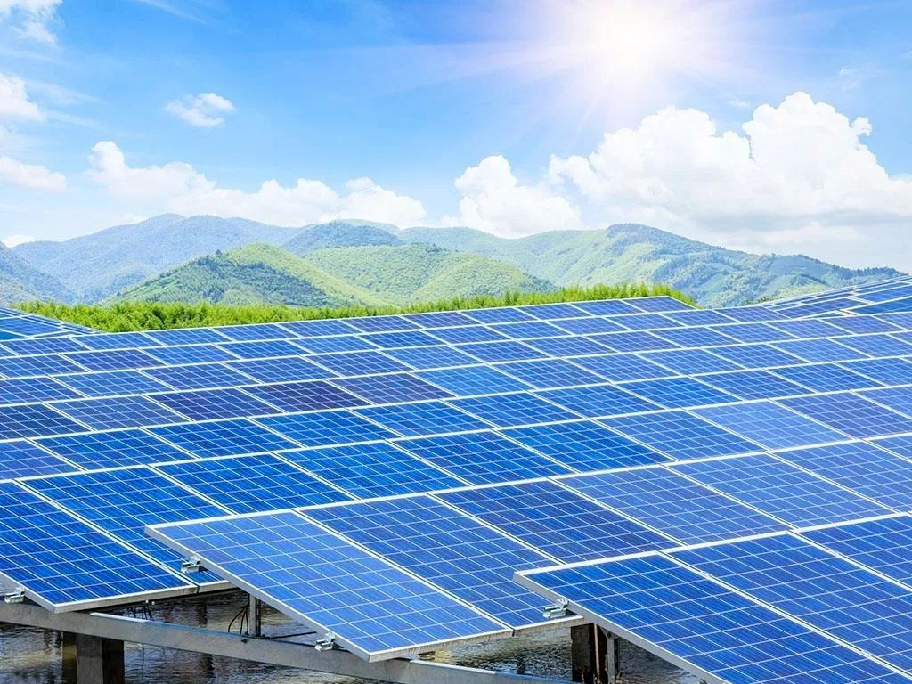 1701224769301201.jpg 1701224769301201.jpg